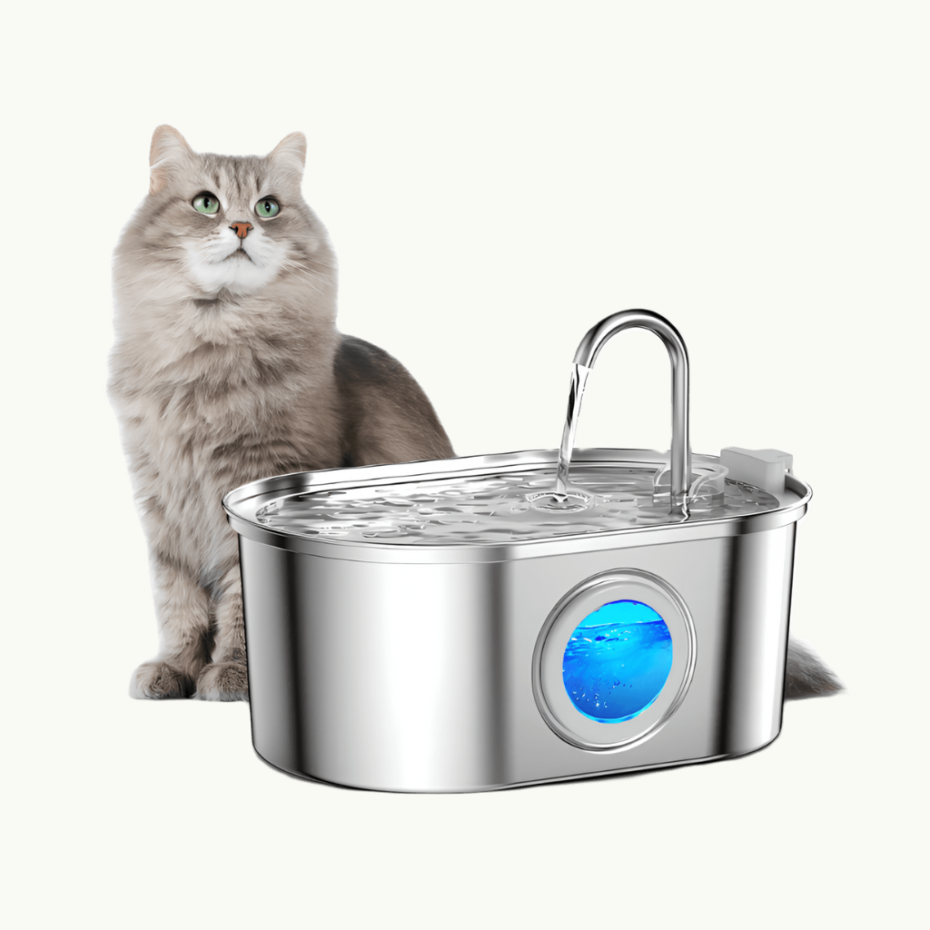 Fontaine à eau pour chat 3,2L – Silencieuse & filtrée – Inox anti-poils – Hydratation continue garantie