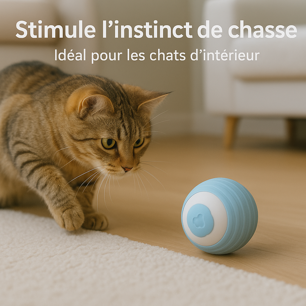 Balle intelligente pour chat - Jouet pour chat