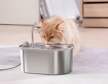 Fontaine à eau pour chat - Hydratation automatique, silencieuse et design moderne